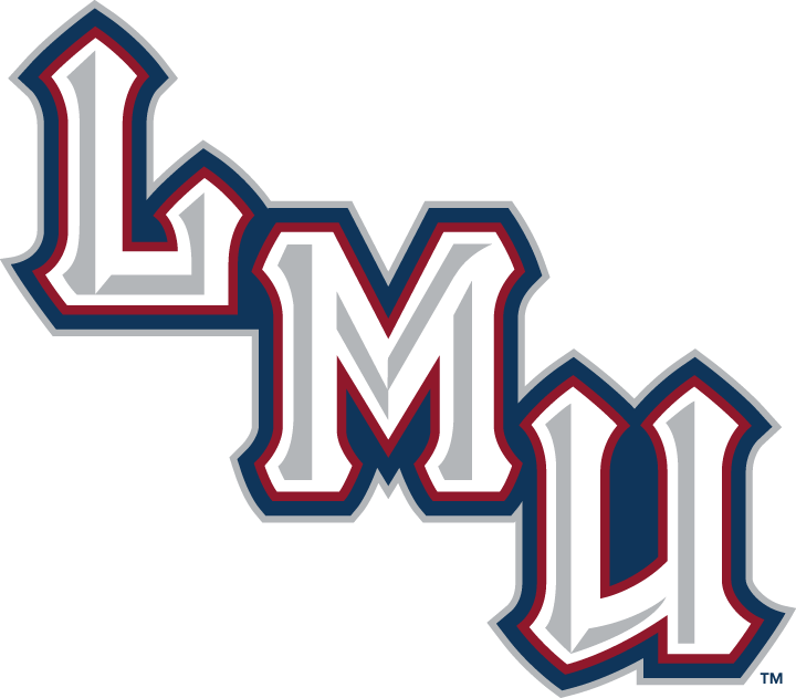 Loyola Marymount Lions 2001-Pres Wordmark Logo t shirts DIY iron ons v2